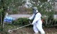 US - Japan cooperates to monitor radiation