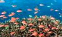 USAID funded research on environmental resources