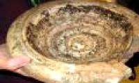 Use a thousand year old artifact to bathe the bird