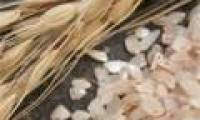 Use rice husks to produce electric batteries