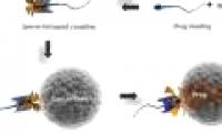 Using sperm to transfer cancer treatment drugs