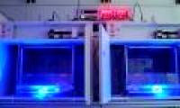 UV rays kill cancer cells in mice