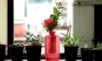 Vases can fire in a split second