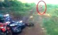 Video: A dwarf was discovered and fled in the Indonesian forest