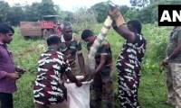 Video: Close-up of catching a giant cobra 4.6m long