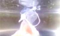 Video: Drop the camera in hot water to spin boiled eggs