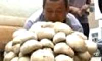 Video: Giant mushroom in China