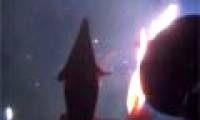 Video: Giant squid attacked submarine