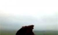 Video: Lamb pieces travel in the atmosphere