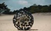 Video: Mine Kafon - 'Dandelion flowers' detonate mines
