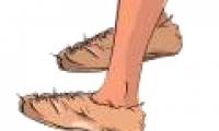 Video: Shoe history from 7000 years BC to modern
