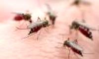 Video: Signs that you have dengue fever