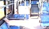 Video: The deer pierced the bus glass