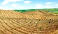Video: The mixture helps China turn desert into cultivated land