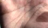 Video: The origin of human pointing finger