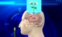 Video: The perfume prevents the brain from feeling the toilet odor