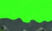 Video: The threat of blue algae blooms in the rivers and lakes