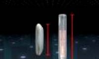 Video: The use of micro-grain rice chips implanted in the hand