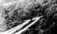 Vietnam and the US began to clean up Agent Orange in Da Nang