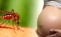 Vietnam discovered the first 2 cases of Zika virus