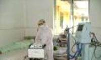 Vietnam does not export new cases of H5N1
