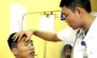 Vietnam has appeared chemical resistant mosquitoes, which are at risk of spreading