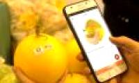 Vietnam is experimenting with traceability blockchain technology
