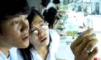Vietnam overtakes Thailand in innovation