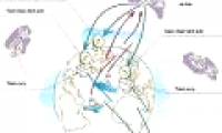 Vietnam satellite image receiving station is ready