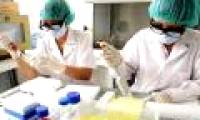 Vietnam successfully studied influenza A / H5N1 vaccine and influenza A / H1N1