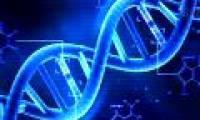 Vingroup spent money on 1,000 Vietnamese genome sequences