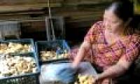 Visit the famous traditional Tet jam villages in Vietnam