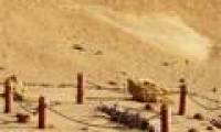Visit the fossil whale valley in Egypt