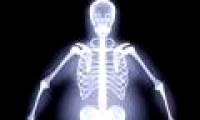 Vitamin A acid helps the body develop symmetrically