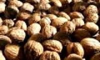 Walnuts help reduce the risk of cardiovascular disease