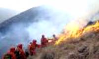 Warming earth causes forest fires
