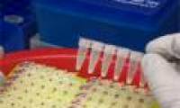 Warning for more dangerous Ebola virus changes