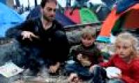 Warning of migration risk massively when the temperature increased by 2 degrees Celsius