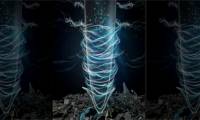 Warning of nanoscale accumulation in plant roots