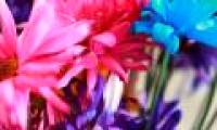 Washing flower vases will help fresh flowers longer