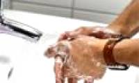 Washing your hands with warm water does not kill bacteria