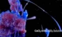Watching beautiful chemical reactions with 4K resolution, you will want to learn Chemistry immediately