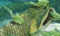 'Water monsters' eating shark meat may be human ancestors