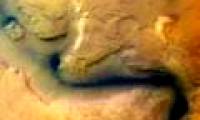 Water on Mars and Earth can be of the same origin