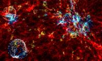 We Are the Neurons of the Universe: A Creation Theory Reveals the Mysteries of the Universe and the Brain