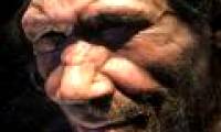 We have become more extinct with the Neanderthals than we thought