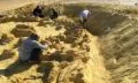 Whale fossils are located in ancient killer whales