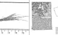 What a surprise from declassifying FBI records about the snowman legend 'Bigfoot'?