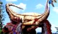 What are the wings of dinosaurs used for?