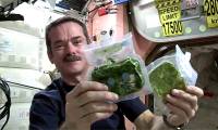 What do astronauts eat on multi-year missions?